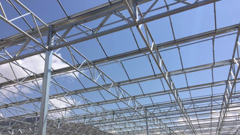 Multi-Span Venlo Type Glass Greenhouse