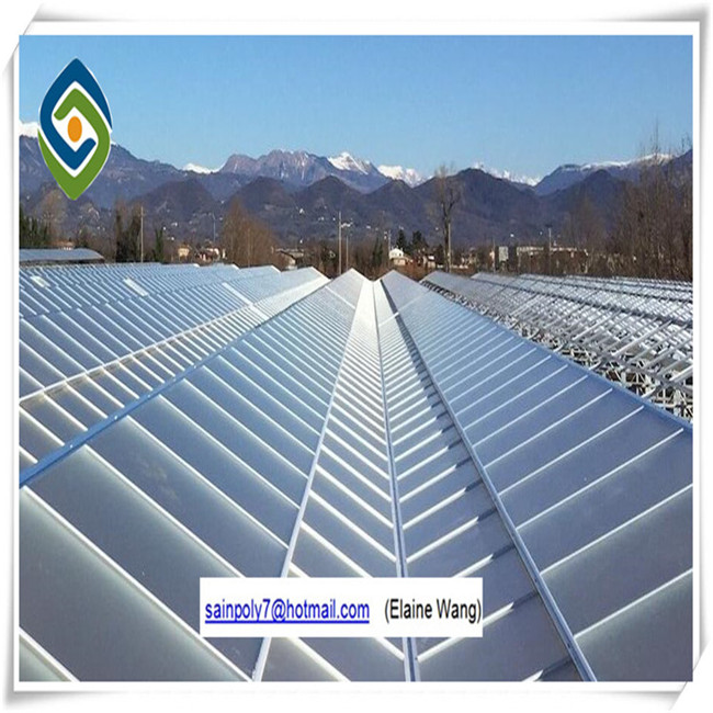 Factory Price PC Sheet Greenhouse for Angriculture