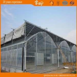 Multi-Span Single-Layer Film Greenhouse for Seeding