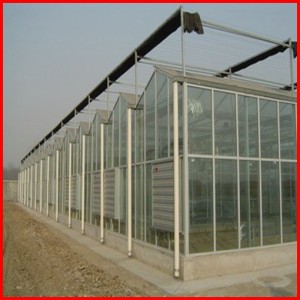 China Agriculture Multi-Span Polycarbonate Sheet Greenhouse for Vegetables