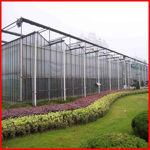 China Multi Span Commerical Venlo Glass Greenhouse for Sale