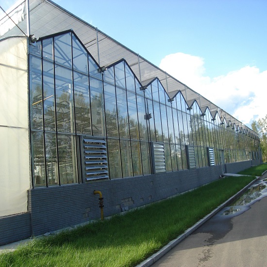 Multi Span Polycarbonate Sheet Greenhouse