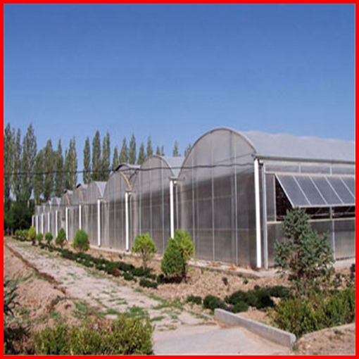 Low Cost Single/Multi Span Plastic Film Greenhouse for Sale in China