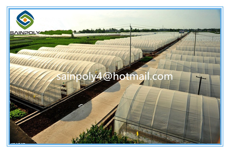 China Supplier Hot Sale Production Tunnel Greenhouse
