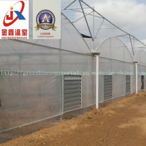 Multi Span Film Green House