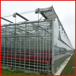 China Supplier Agricultural PC Sheet Greenhouse for Sale