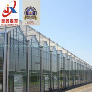 Multi-Span Venlo Type Glass Greenhouse