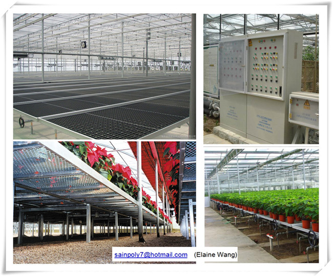 Multi-Span Commercial PC Sheet Greenhouses for Cucumber