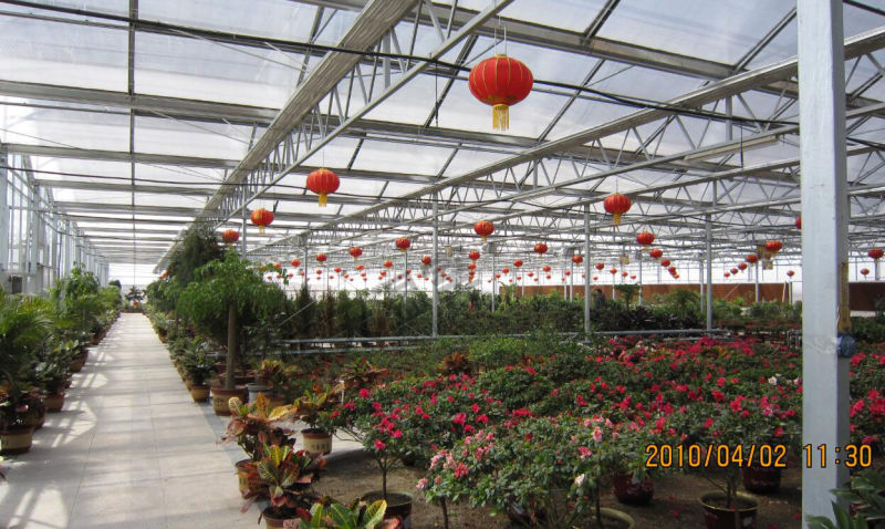 Beautiful Long Life-Span Venlo Structure Glass Greenhouse