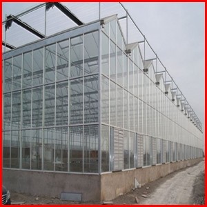China Agriculture Venlo Multi Span Polycarbonate Sheet Greenhouse for Garden