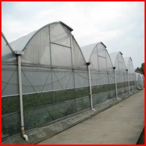 Low Cost Single/Multi Span Plastic Film Greenhouse for Sale in China