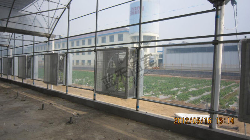 Multi-Span Single-Layer Film Greenhouse for Seeding
