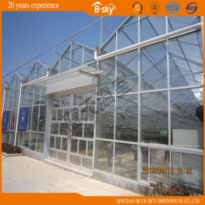 Greet Eeconomic Benefit PC Sheet Greenhouse for Planting