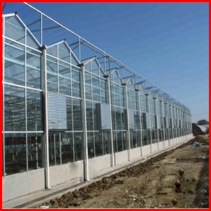 China Multi Span Commerical Venlo Glass Greenhouse for Sale