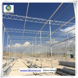 Venlo PC Sheet Hydroponic System Greenhouse for Tomato