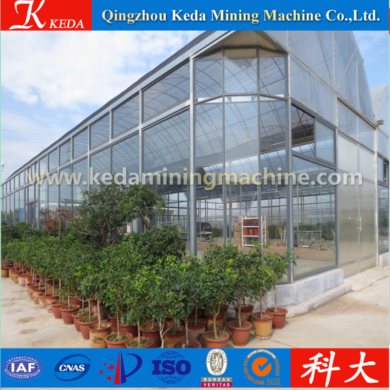Glass and PC Sheet Venlo Green House Manufacturer for Exporting