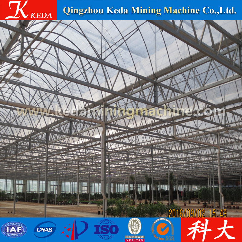 Galvanized Pipe Economic Tunnel Flower Greenhouse for Sale