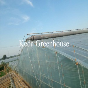 PV Sheet Prefabricated Greenhouse Industrial Greenhouse Price
