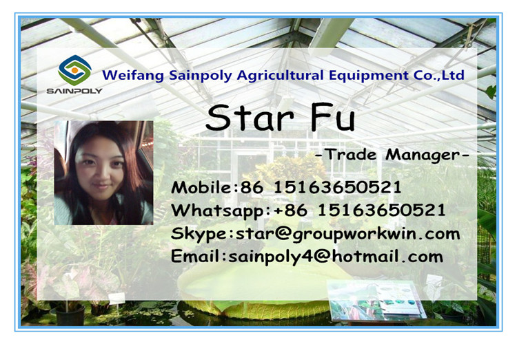 The Cheapest Sainpoly Small Glass Garden Greenhouse