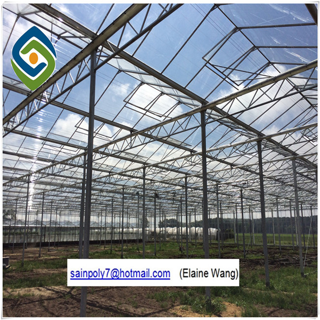 Commercial Large Size Hydroponics Glass Green House for Tomato