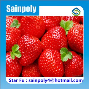 High Quality Plastic-Film Greenhouse for Strawberry