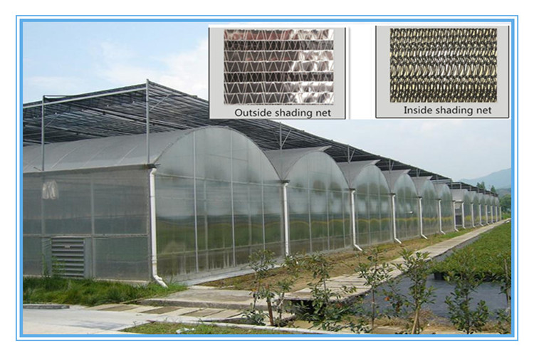 High Quality Plastic-Film Greenhouse for Strawberry