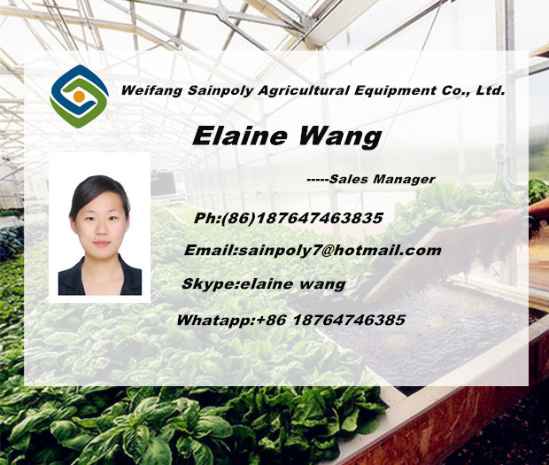 Galvanized Film Green House Greenhouse for Pepper