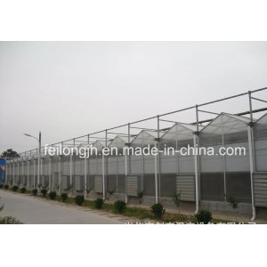 Venlo Multi-Span PC Greenhouse for Farm