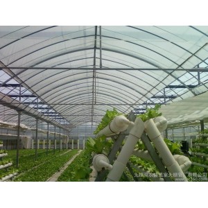 Zigzag Roof Film Greenhouse &amp;amp; Conservatory