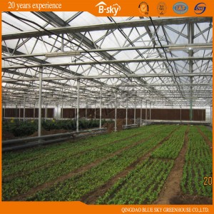 High Yield Glass Greenhouse for Planting Vegetables and Fruits