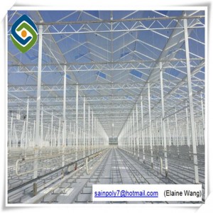 Venlo Glass Hydroponic Greenhouse for Agriculture