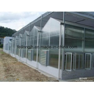 Zigzag Roof Plastic Film Greenhouse Hot Sales