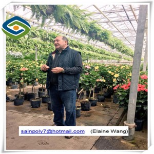 Green Shade Net Cover Material PC Sheet Greenhouse for Mushroom