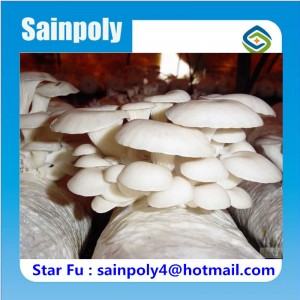 Good Daylighting Multi-Span Film Greenhouse for Mushroom