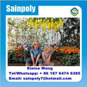 Galvanized Film Green House Greenhouse for Pepper