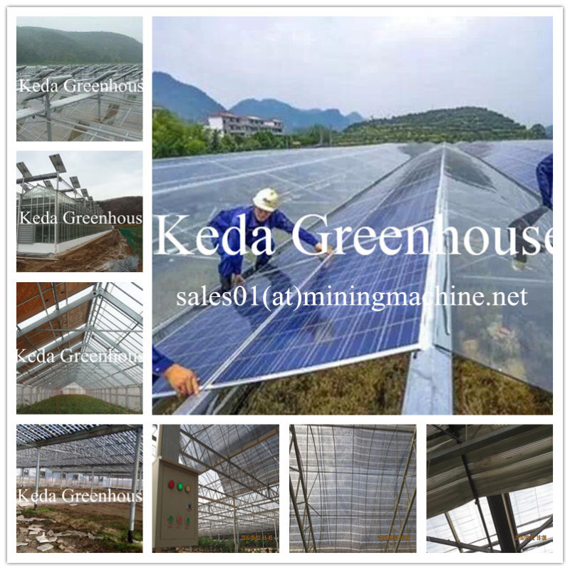 Galvanized Pipe Economic Tunnel Flower Greenhouse for Sale