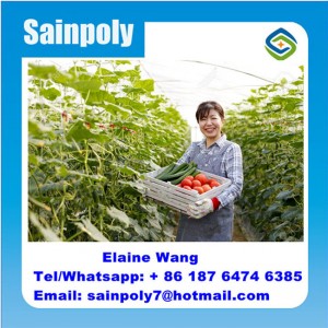 Multispan Hydroponics Film Green House Agricultural for Cucumber