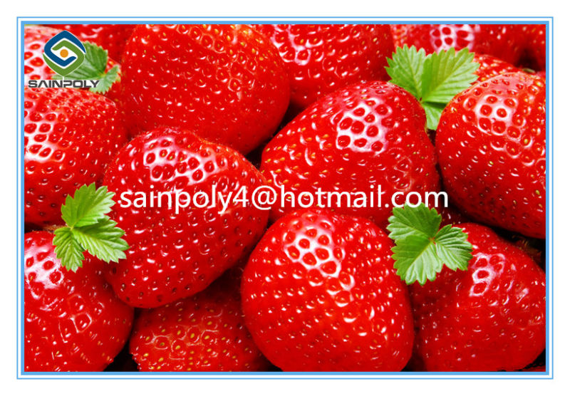 High Quality Plastic-Film Greenhouse for Strawberry