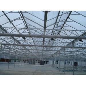 Venlo Multi-Span PC Board Agricultural Greenhouse