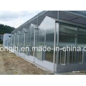 PC-Sheet Tunnel Greenhouse for Farm