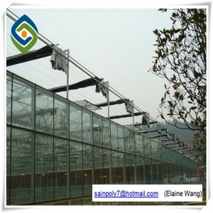 Multispan Hydroponic Glass Greenhouse for Strawberry
