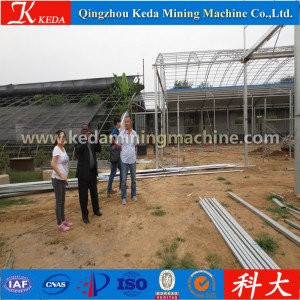 Factory- Direct Glass Galvanized Pipe Garden Cabage Greenhouse for Sale
