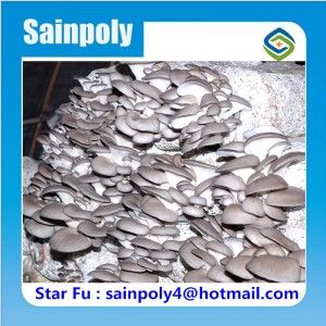 High Quality Multi-Span Film Greenhouse for Mushroom