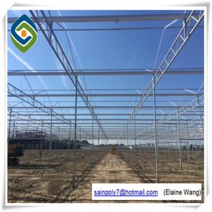 Single Span Agricultural Greenhouse for Cucumber