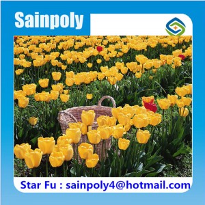 Large Agricultural Multi-Span Film Greenhouse for Flower