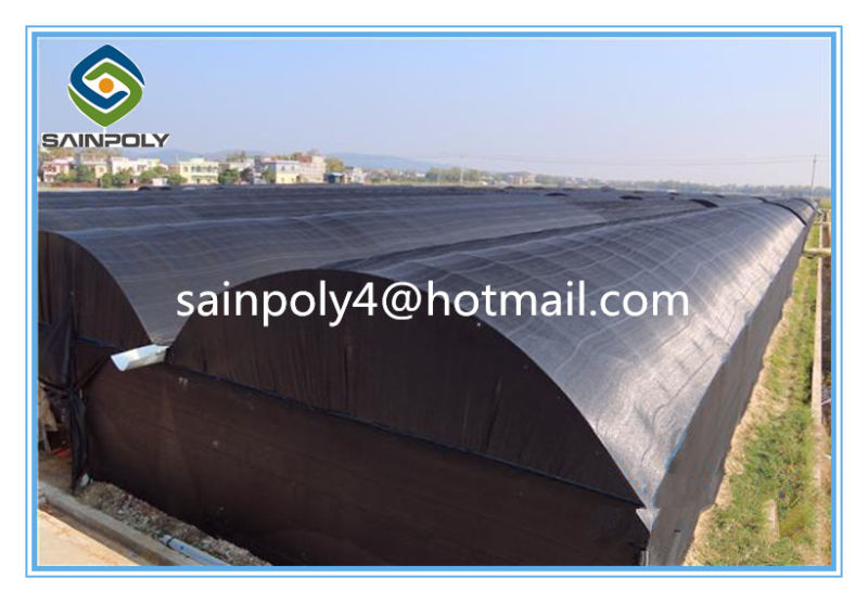 High Quality Multi-Span Film Greenhouse for Mushroom