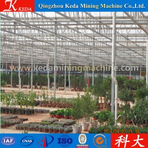 Galvanized Pipe Economic Tunnel Flower Greenhouse for Sale