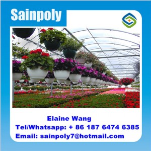 Multispan Agricultural Film Green House for Tomato