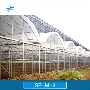 Cheap Agricultural Poly Film Greenhouse