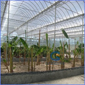 Transparent/Opal White/Blue/Green/Lake Blue/Bronze PC Polycarbonate Sheet for Greenhouse